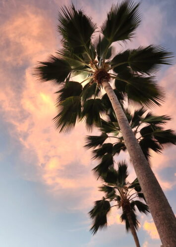 Send your best photos from Maui County to mauiphotos@mauinews.com for a chance to see them featured on our website and in our weekly print edition.